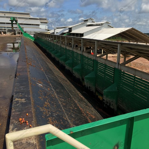 the detailed process of palm kernel oil processing plant – medium in Nigeria